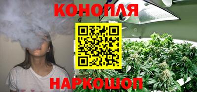 прущие крисы Краснознаменск