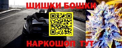 прущие крисы Краснознаменск