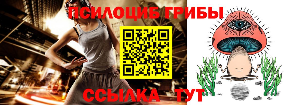 Псилоцибиновые грибы Psilocybine cubensis Костомукша